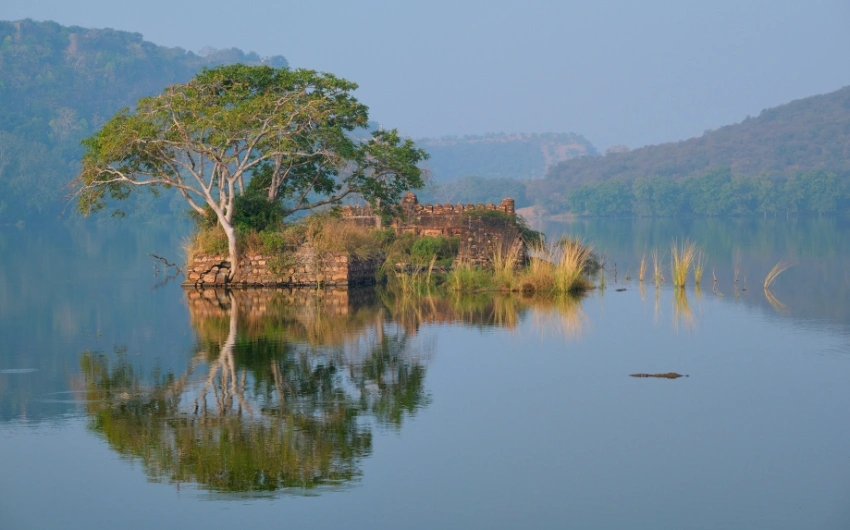 Padam Talao Ranthambore